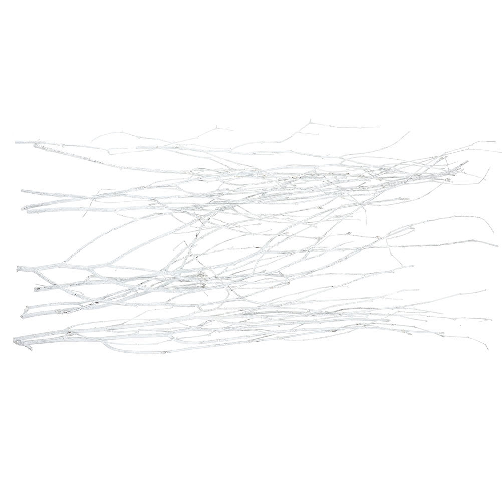 12Pcs Natural Small Twigs Drie - огляд і ціна Home Office Word