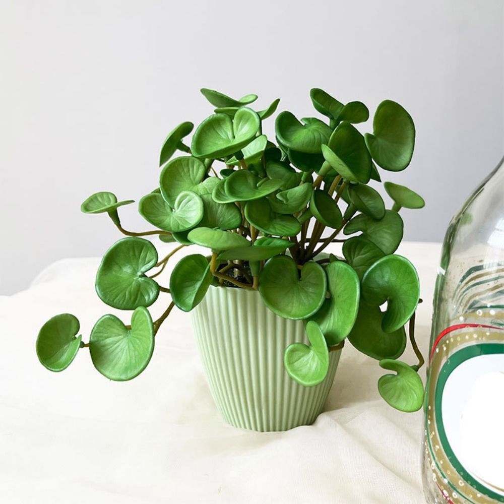Soft Glue Artificial Plant EVA - огляд і ціна Home Office Word