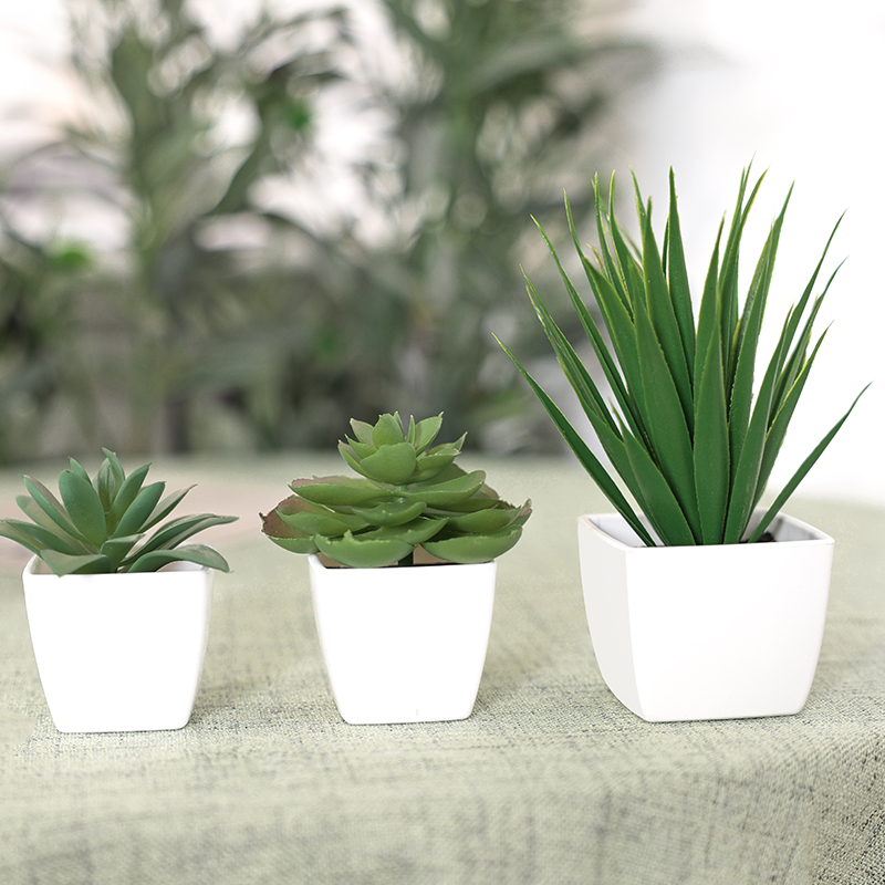 3PCS Artificial Evergreen Plan - огляд і ціна Home Office Word