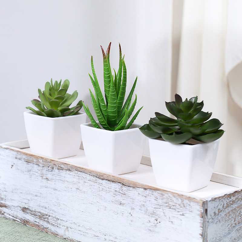 3PCS Artificial Evergreen Plan - огляд і ціна Home Office Word